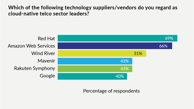 Source: DSP Leaders, Cloud-Native Telco Market Perception Report, May 2025